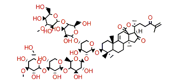 Psolusoside C2